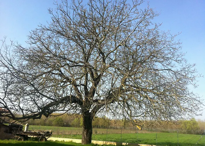 Antico Noce 컨트리하우스 *